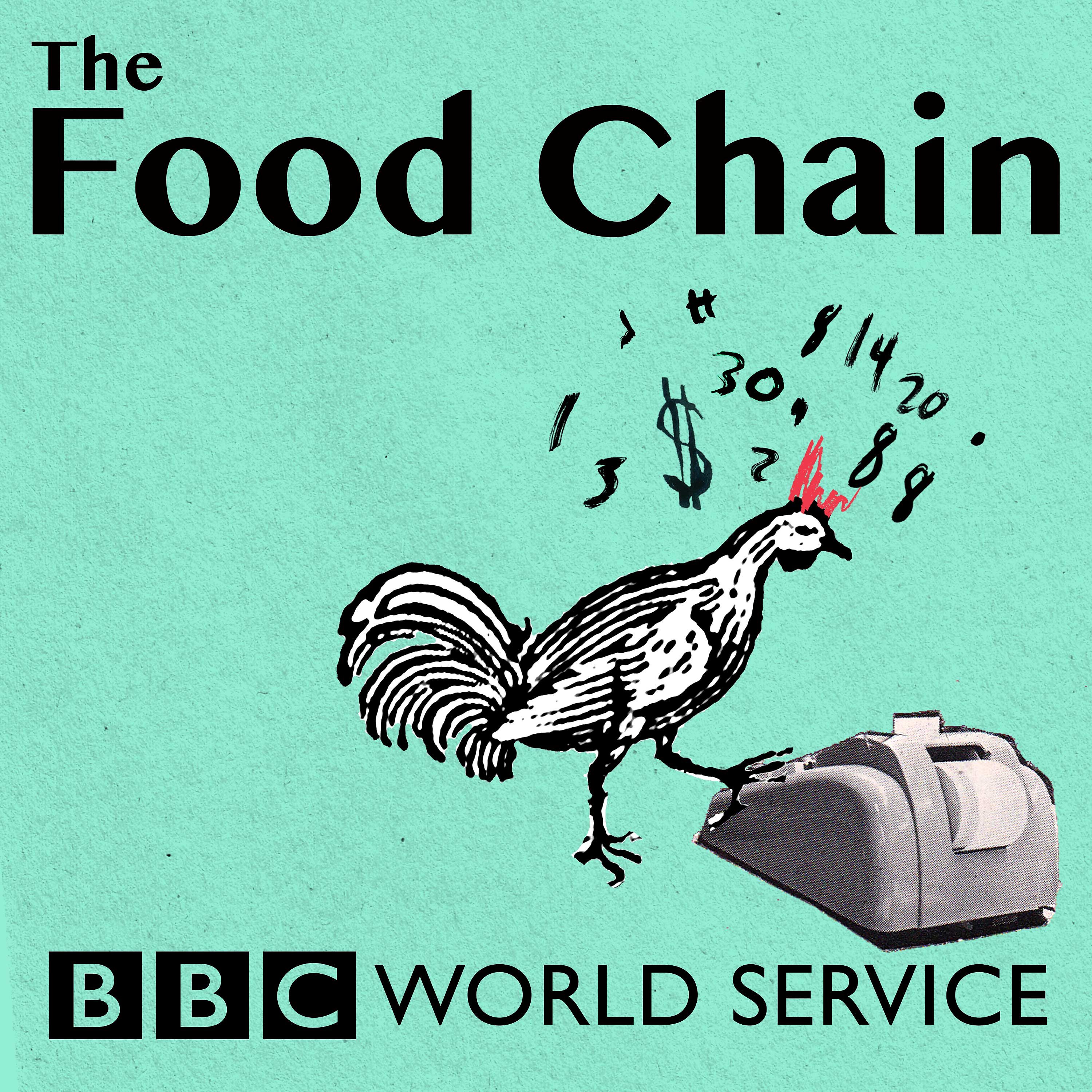 Food Chain: The Quiz