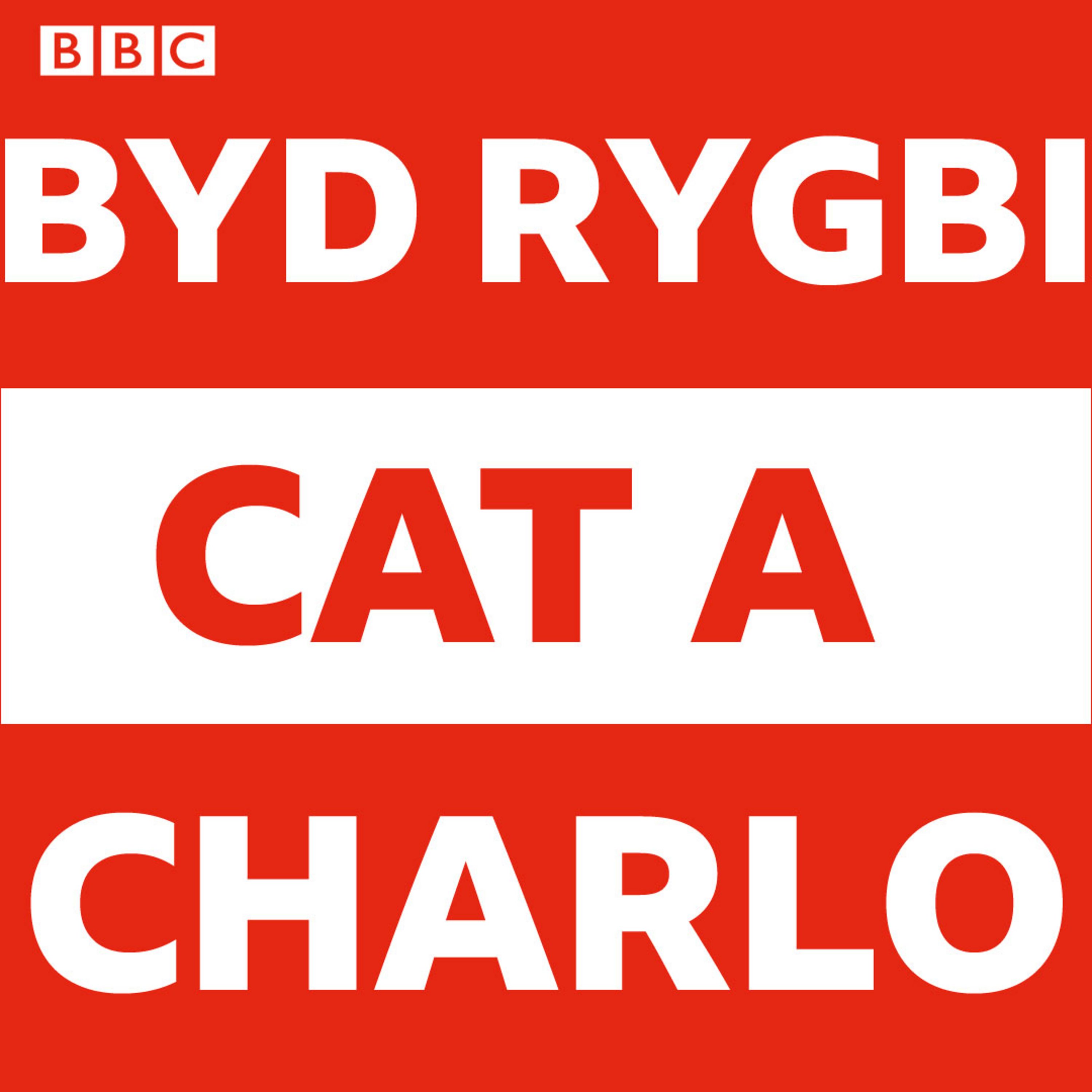 Byd Rygbi Cat a Charlo