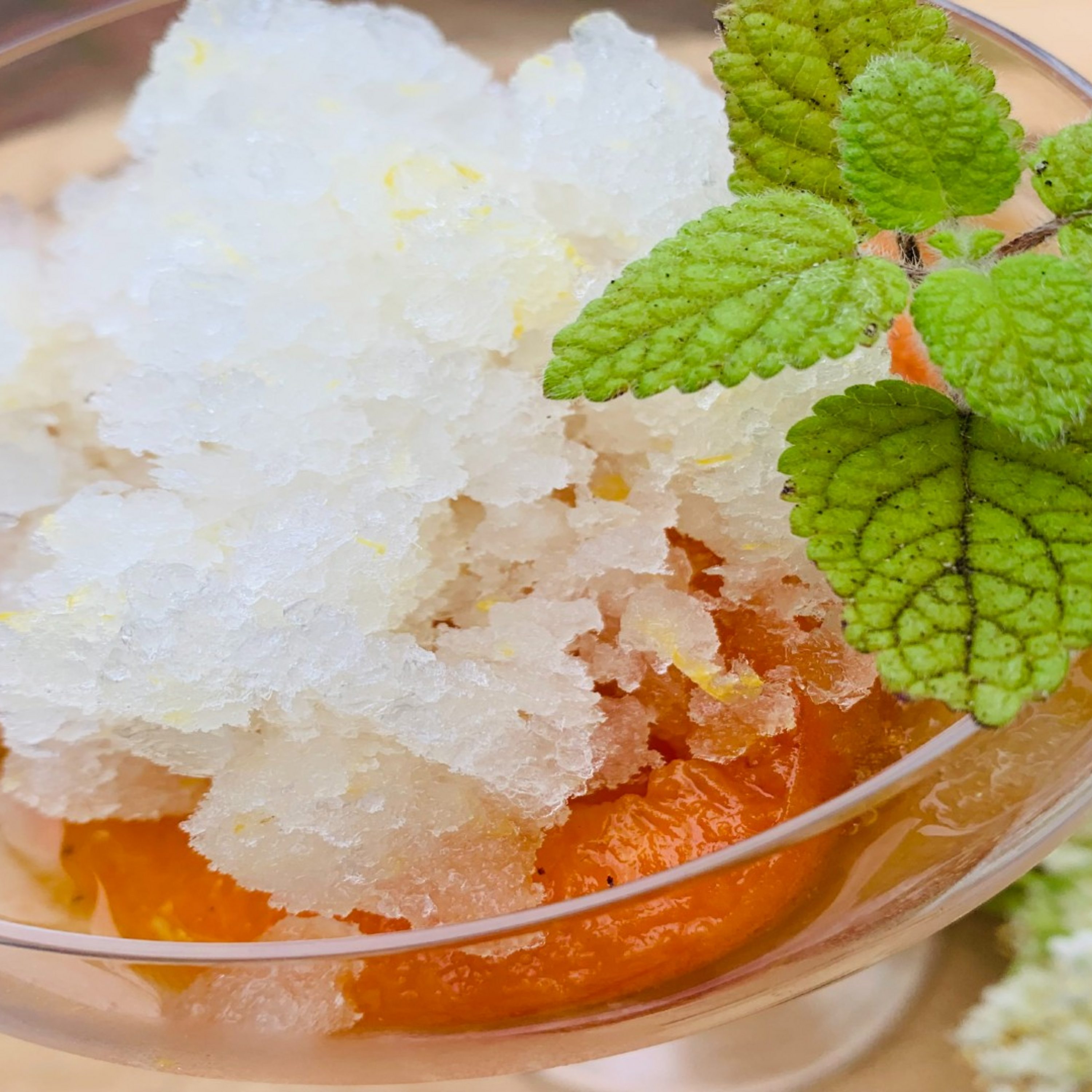 Poached Apricot with Elderflower Granita