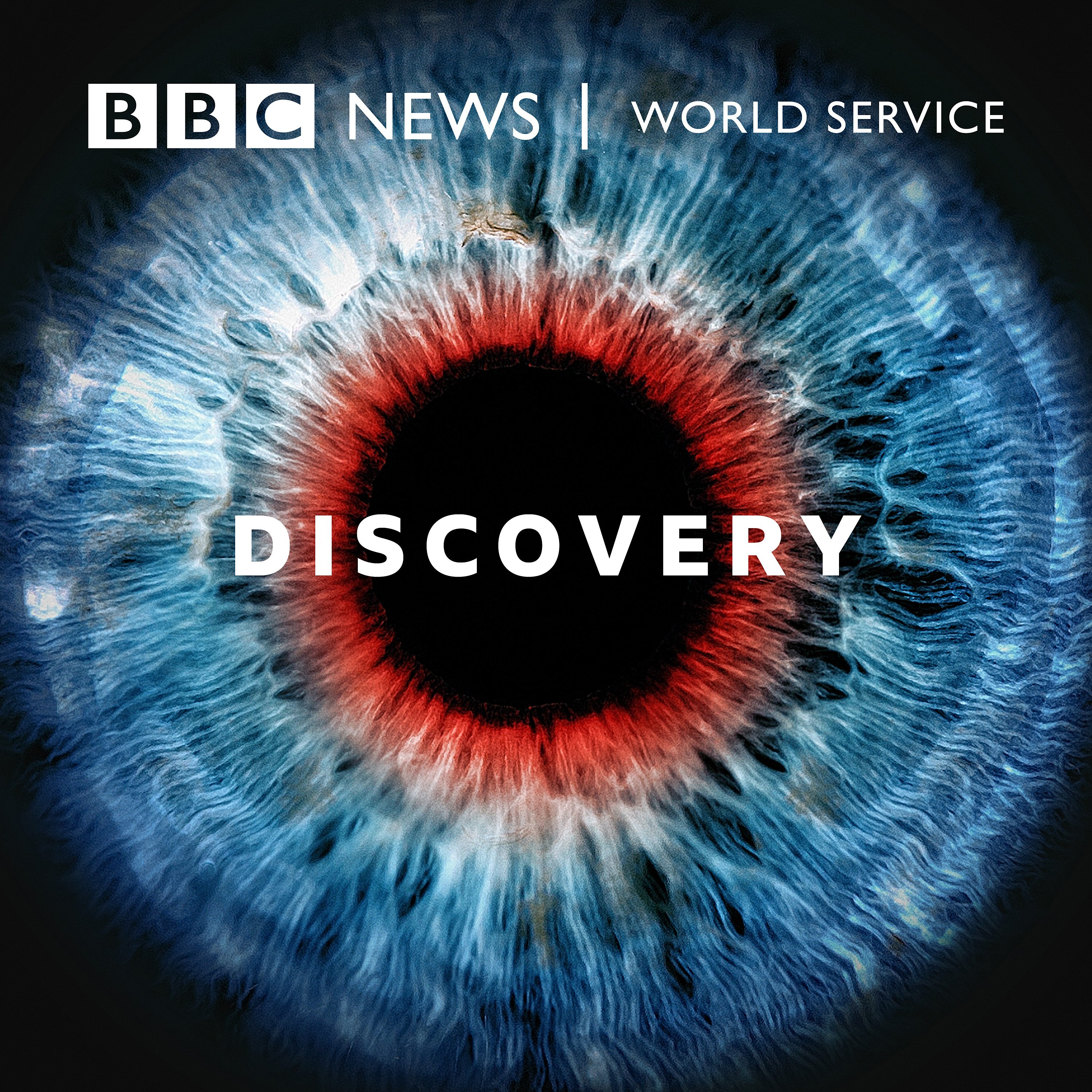 Discovery podcast