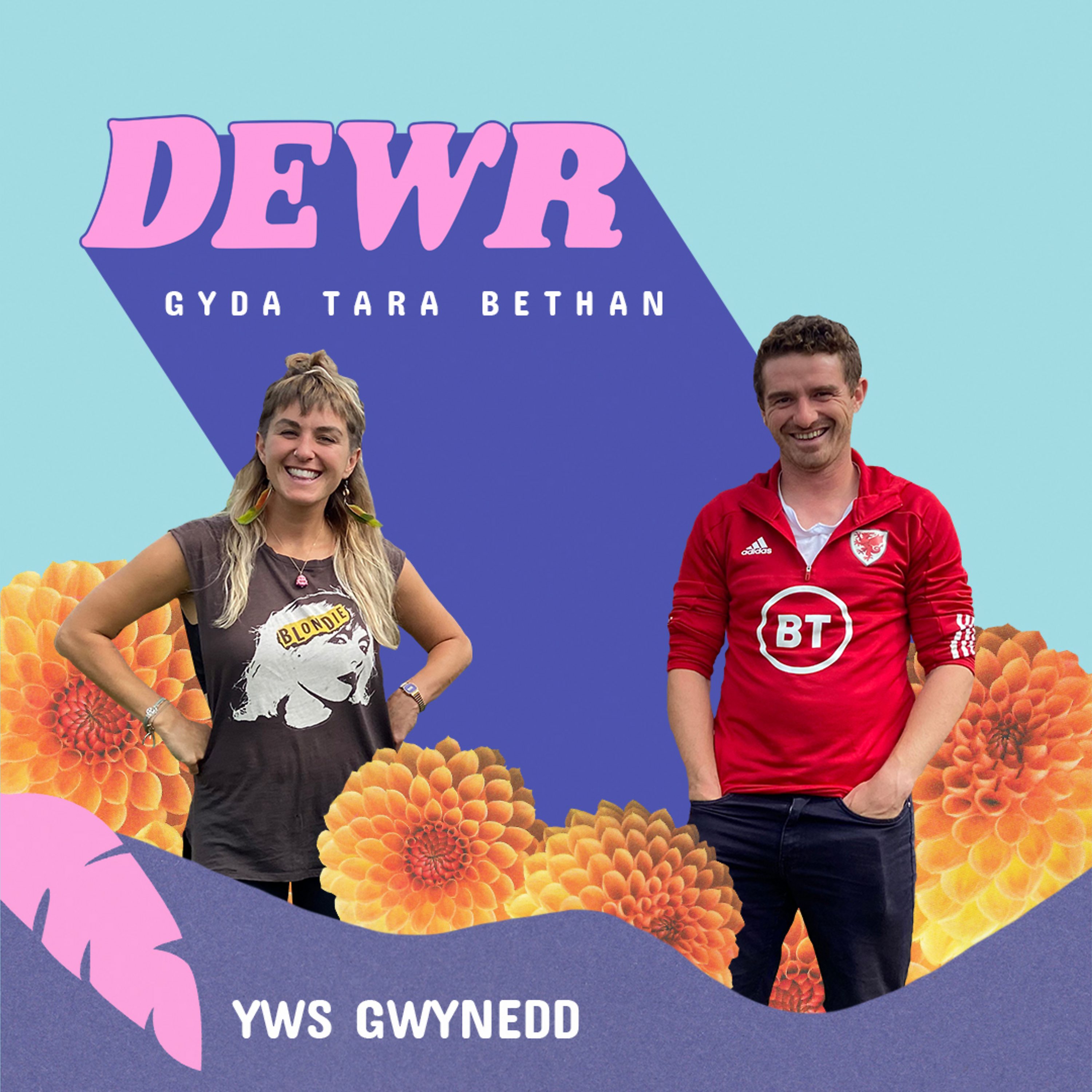 Yws Gwynedd