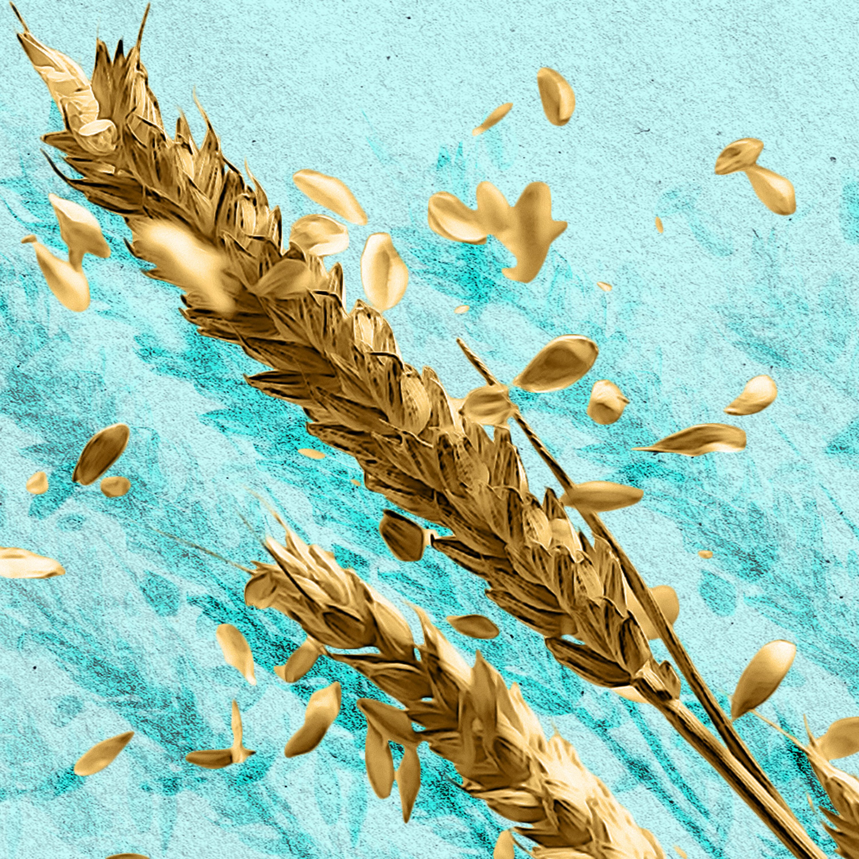 The problem with wheat