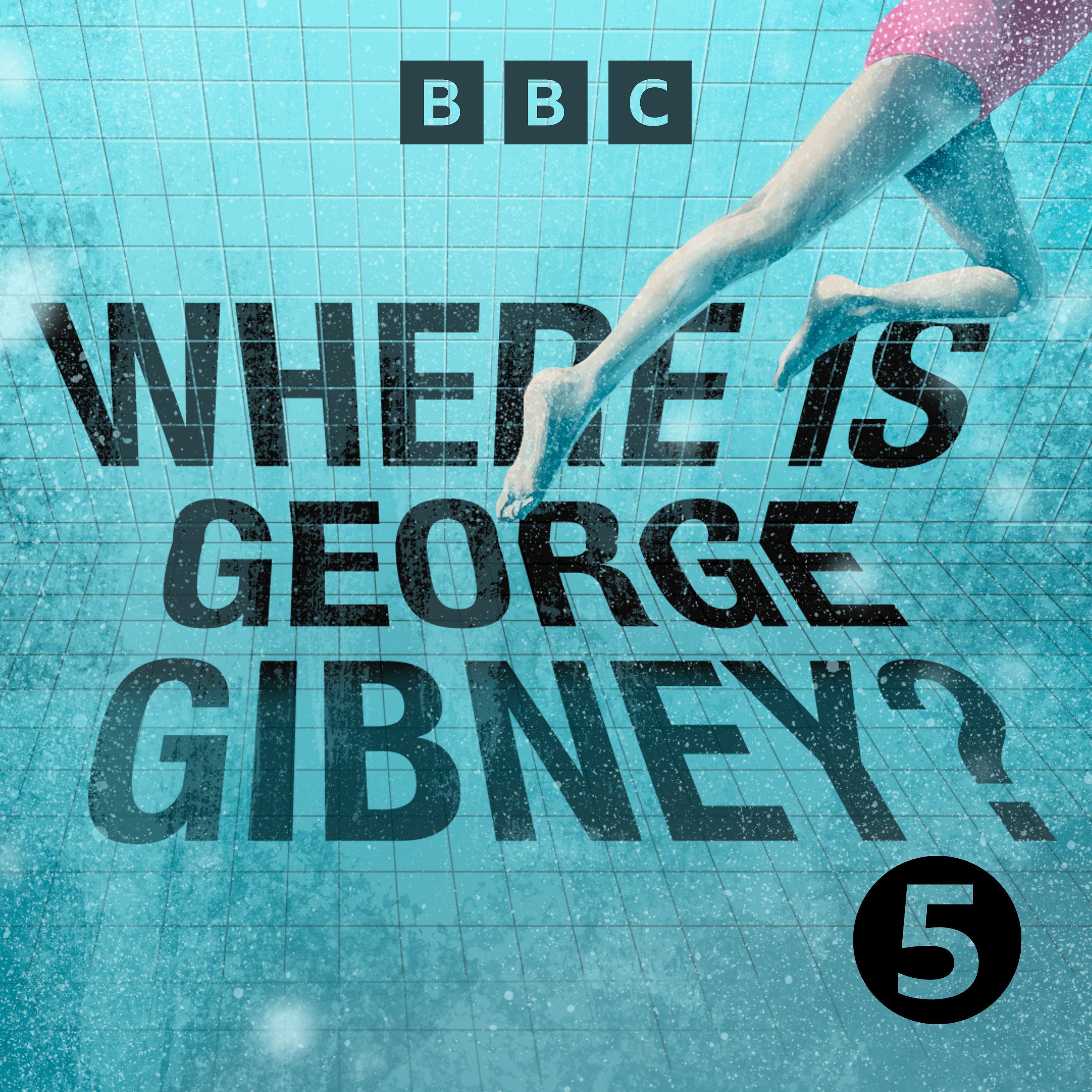 Where Is George Gibney? podcast show image