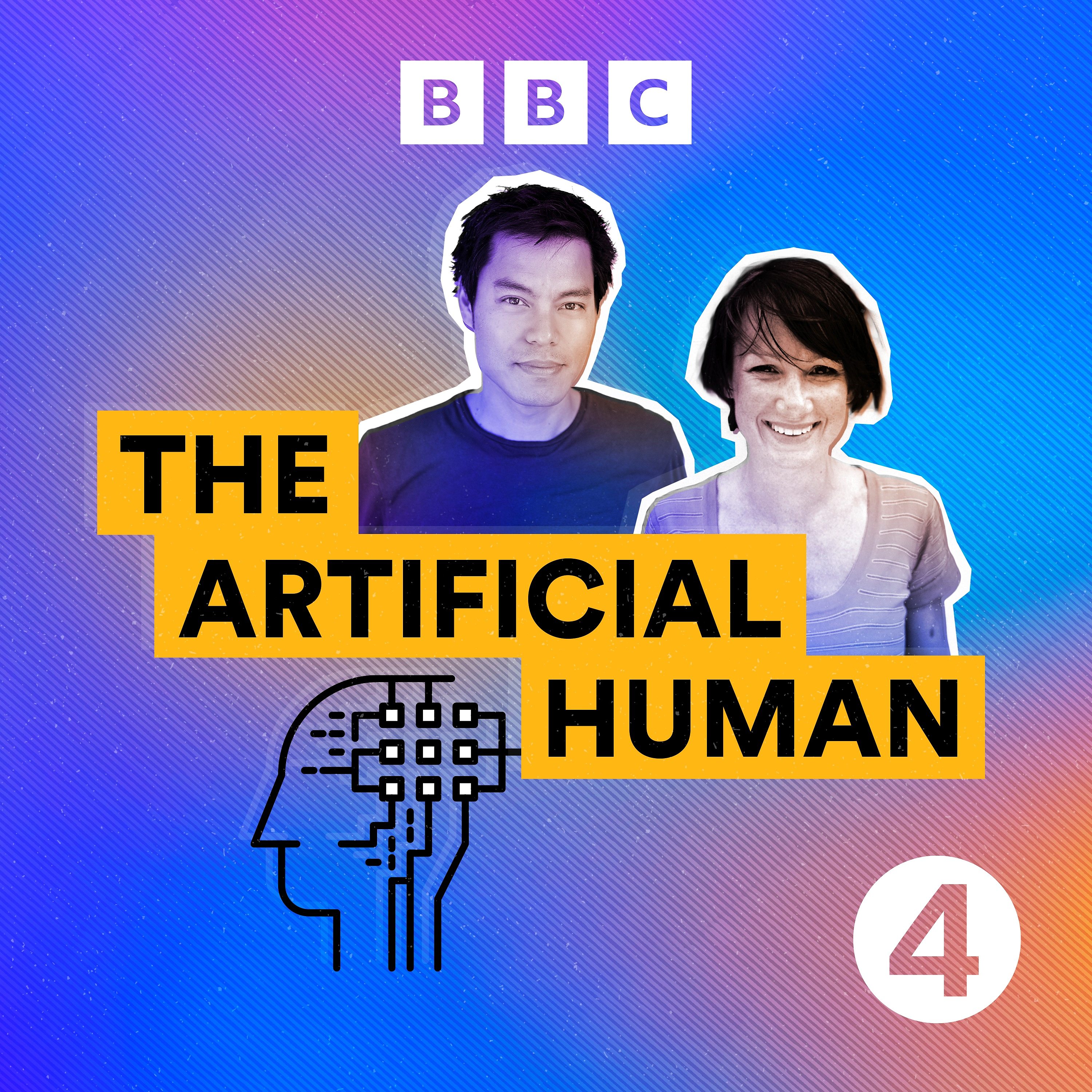 The Artificial Human Image