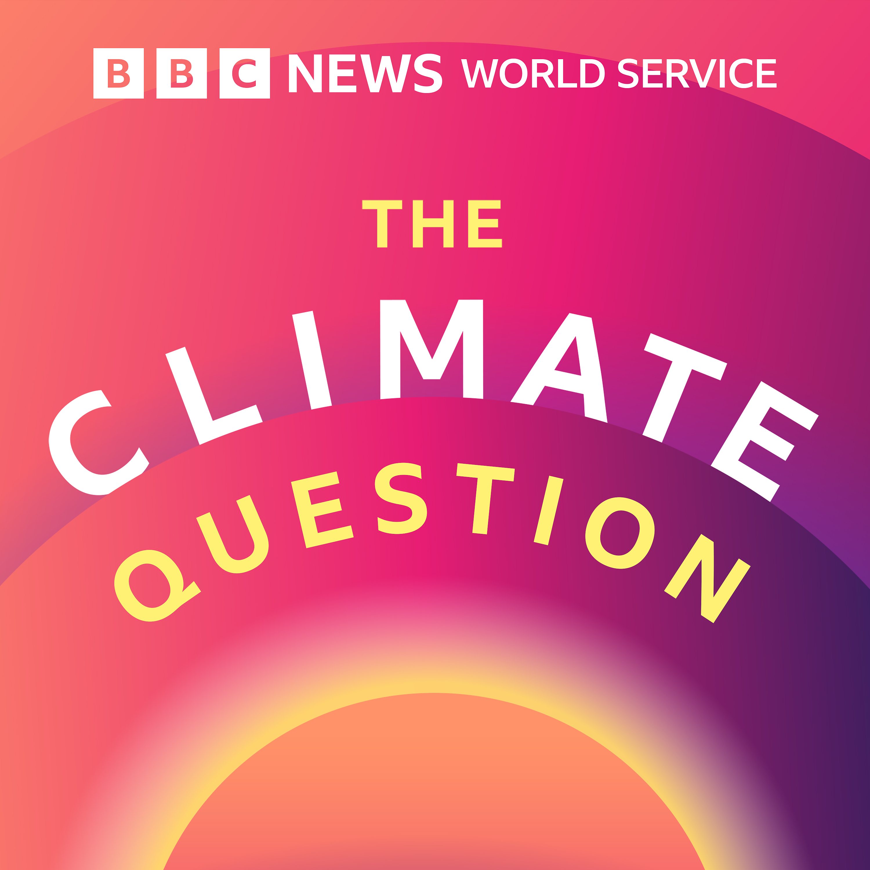 The Climate Question Artwork