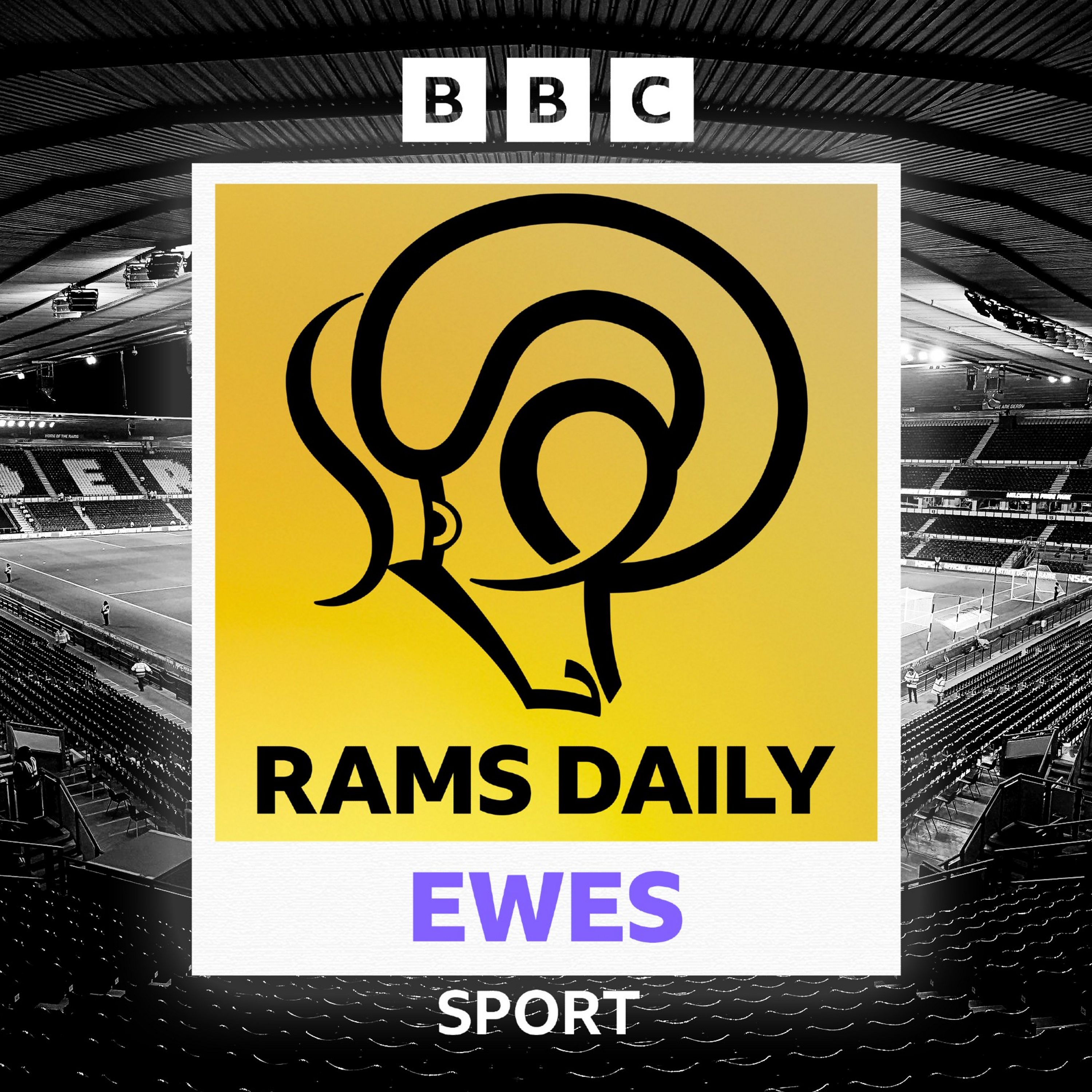 cover of episode Thoughts on Ewes' East Midlands derby defeat