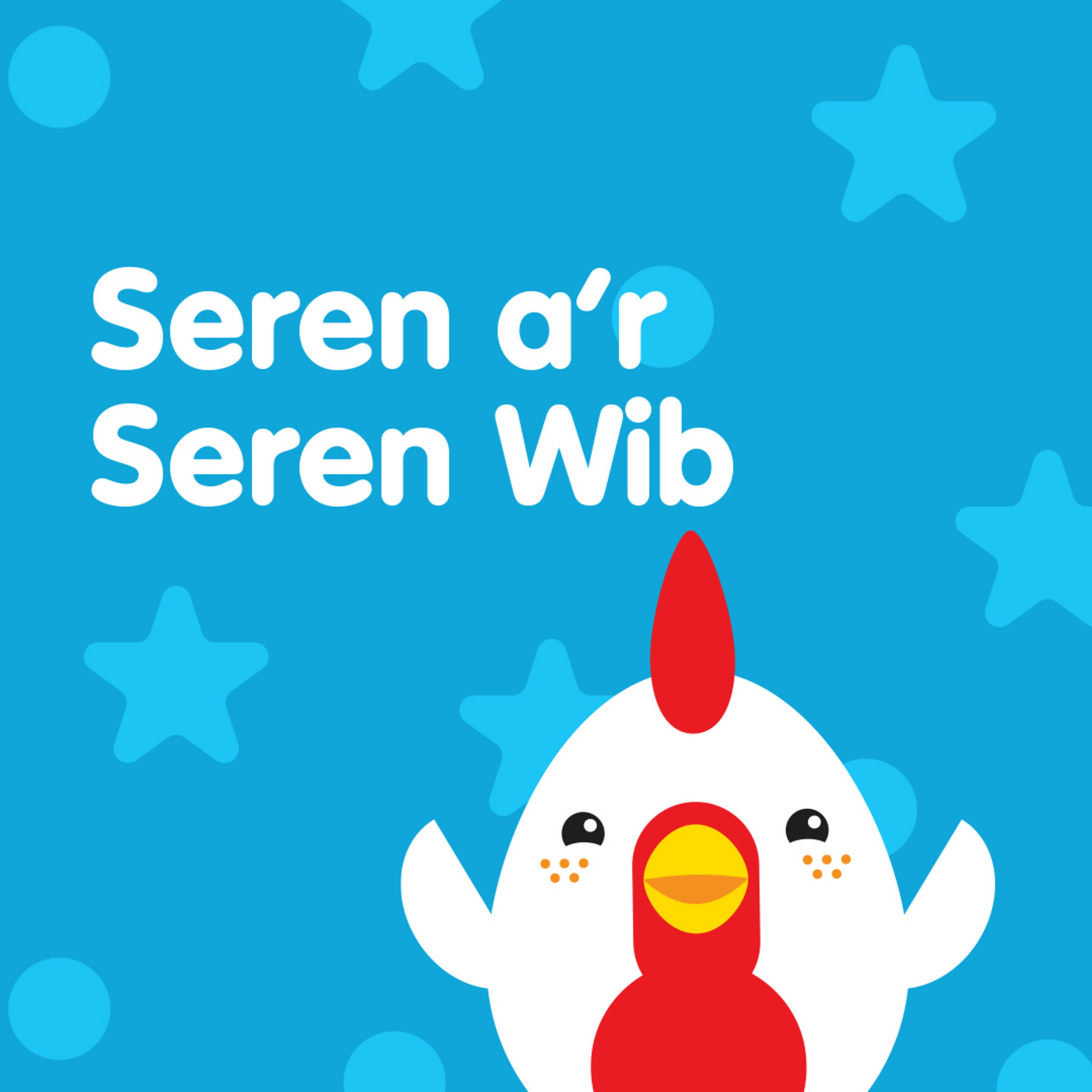 Seren a'r Seren Wib