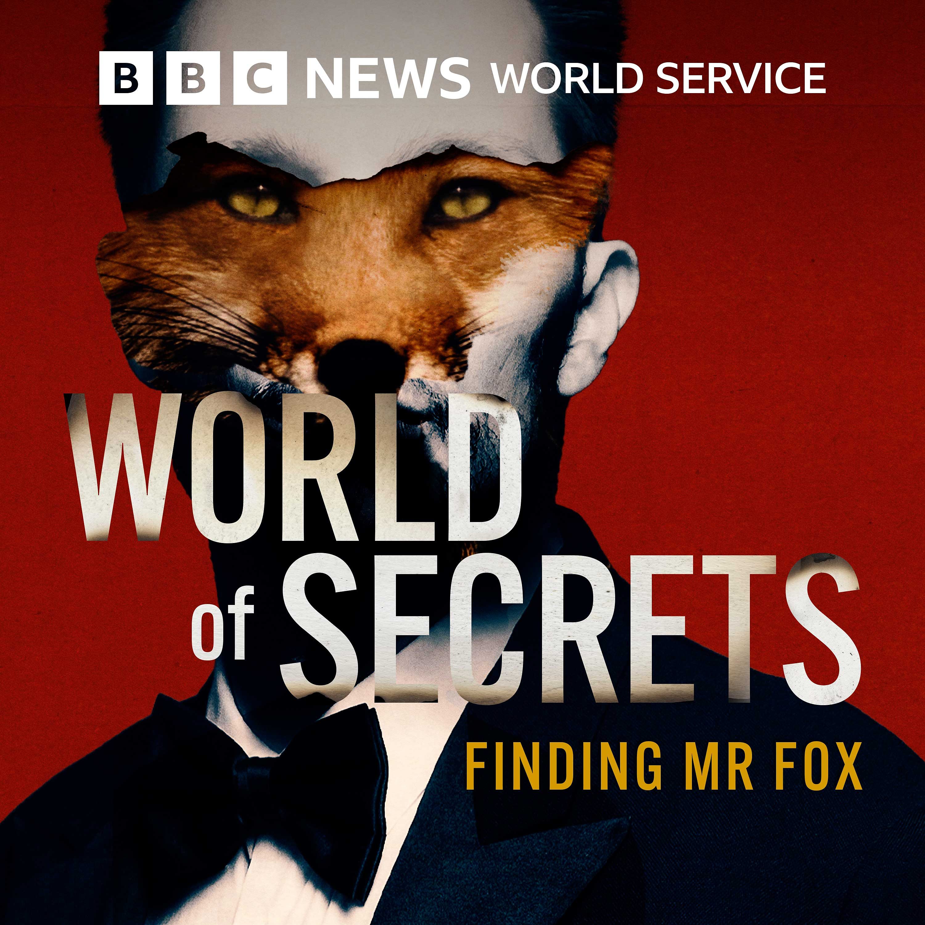 Finding Mr Fox: 2. In the doldrums by BBC