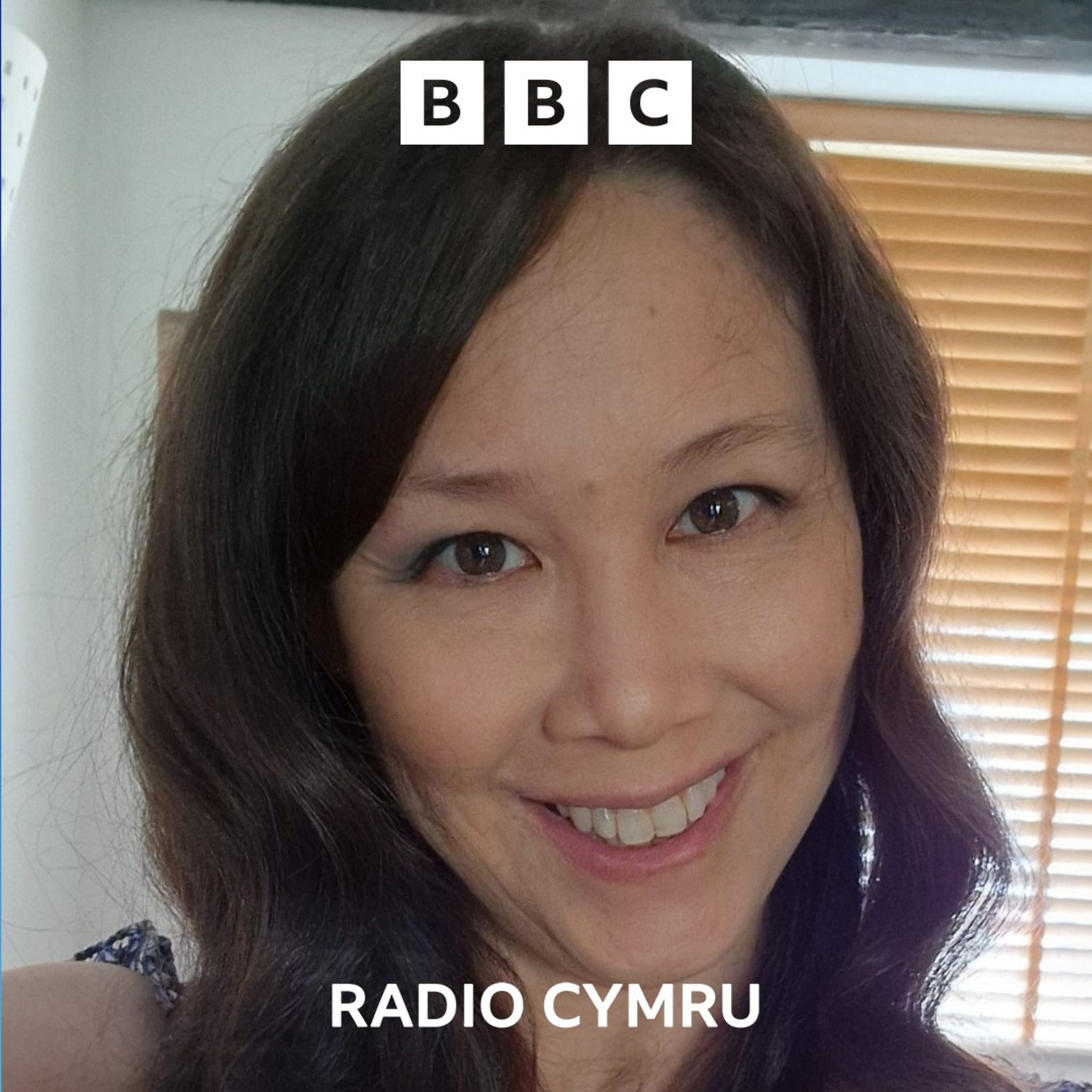 Y Podlediad Dysgu Cymraeg