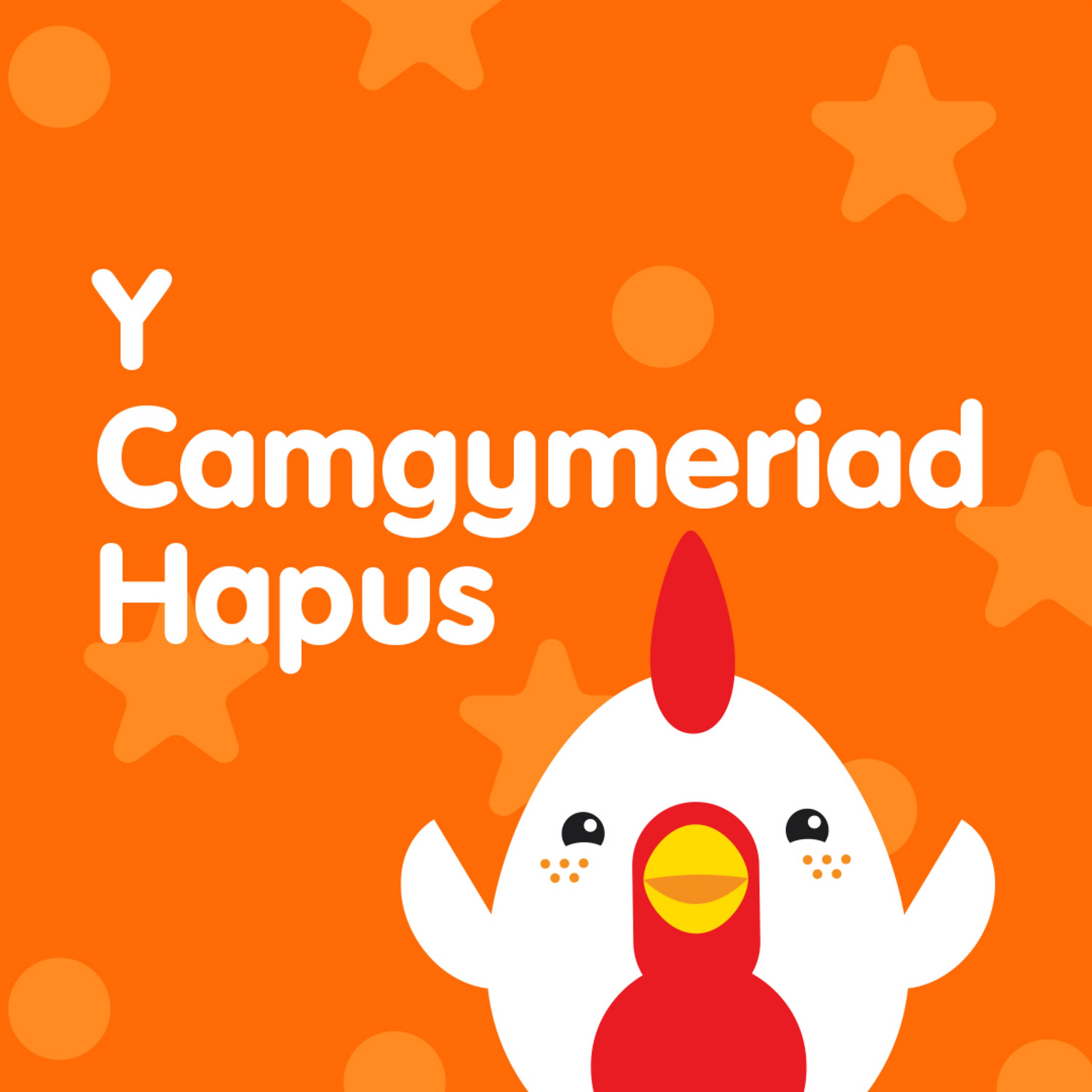Y Camgymeriad Hapus