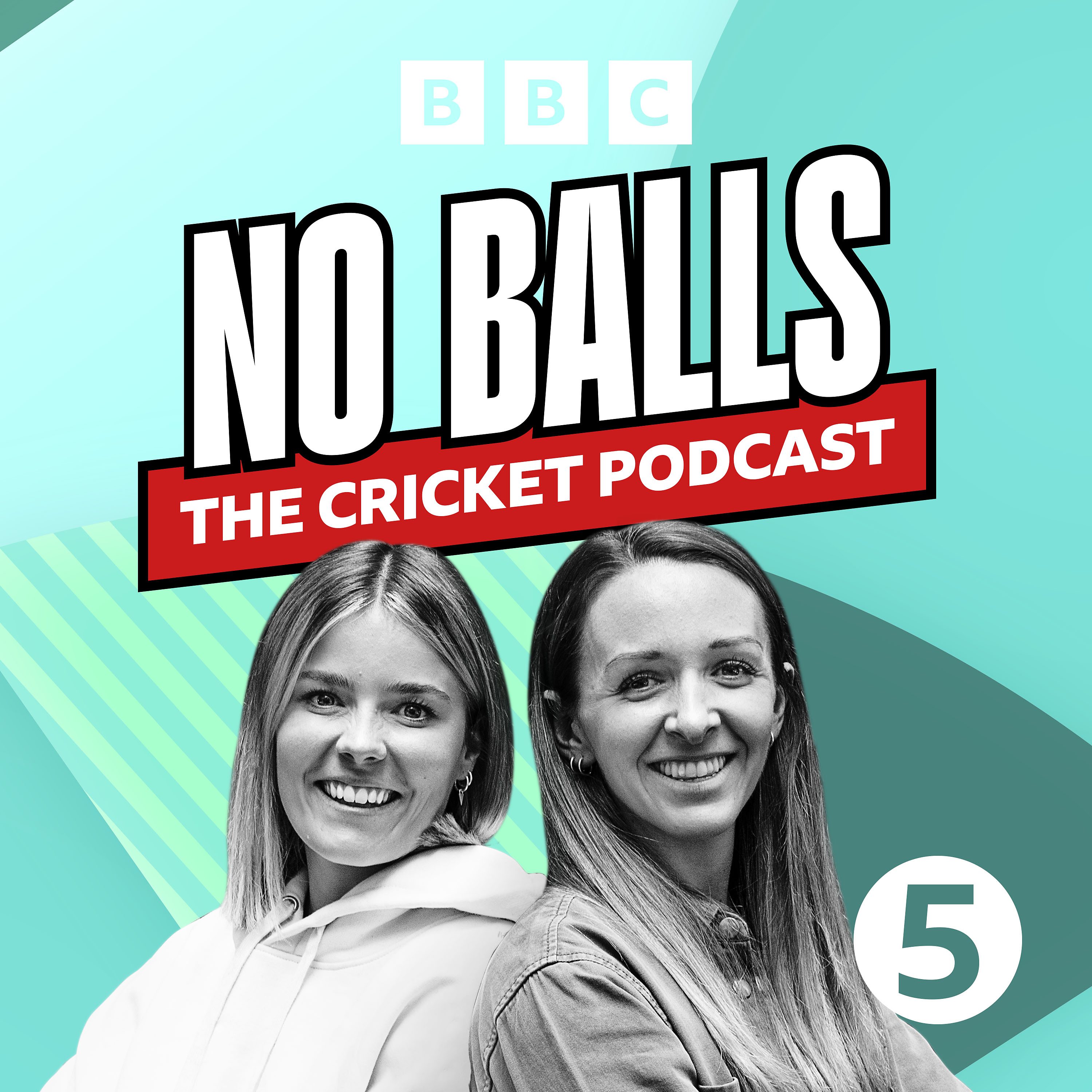 No Balls – Owls, snails and the first ODI of the summer - podcast episode cover