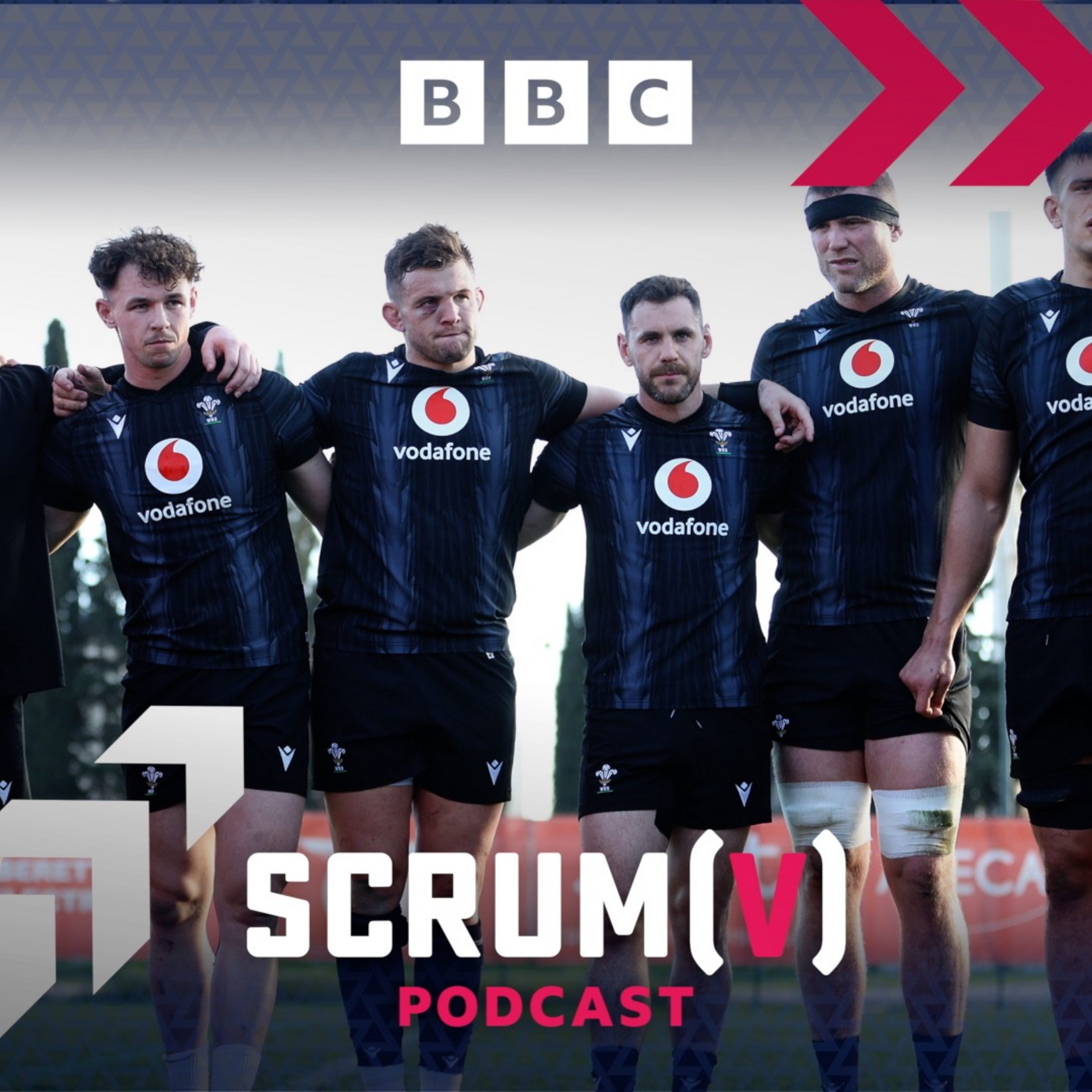 Scrum V