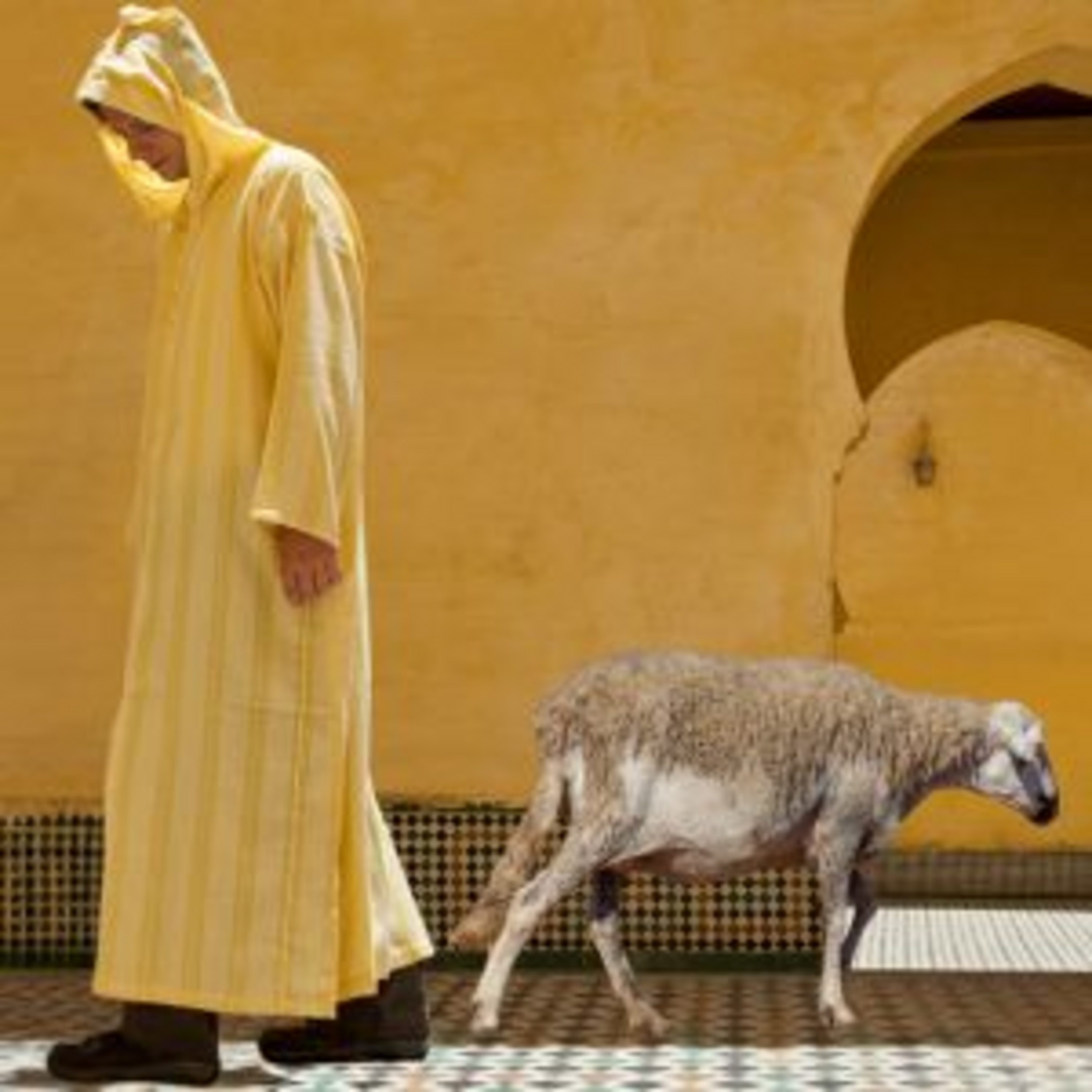 ما أسباب منع المغاربة من ذبح الأضاحي هذه السنة؟