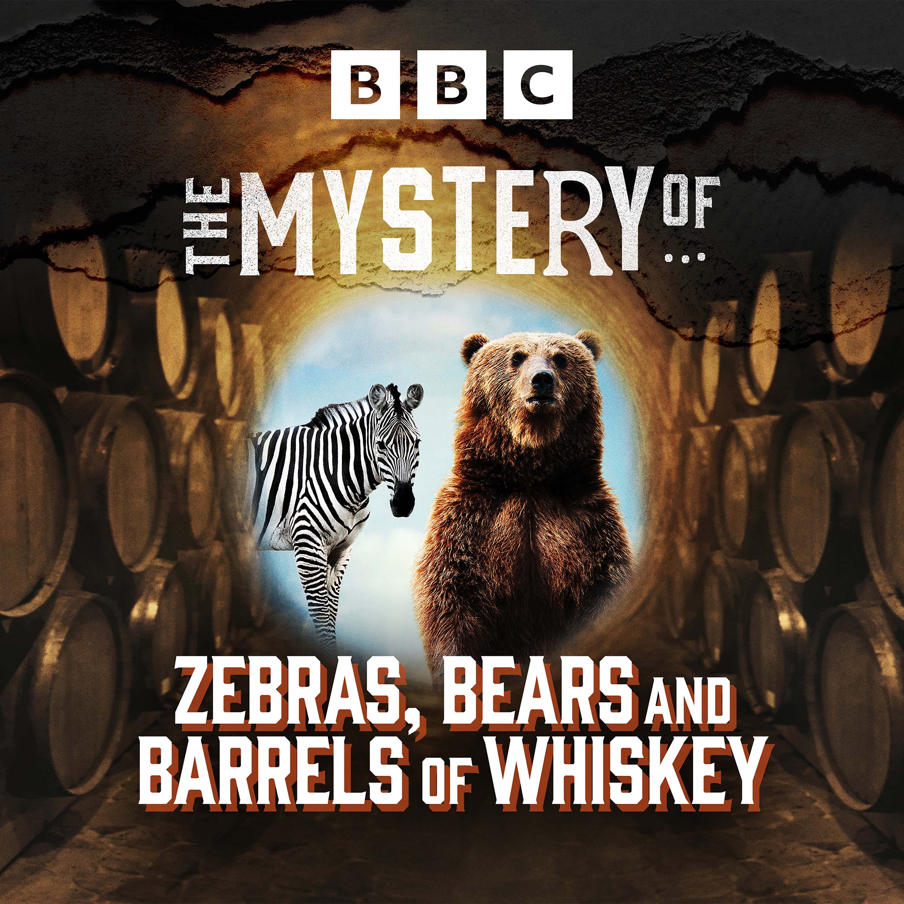 Episode 4 - The Party’s Over