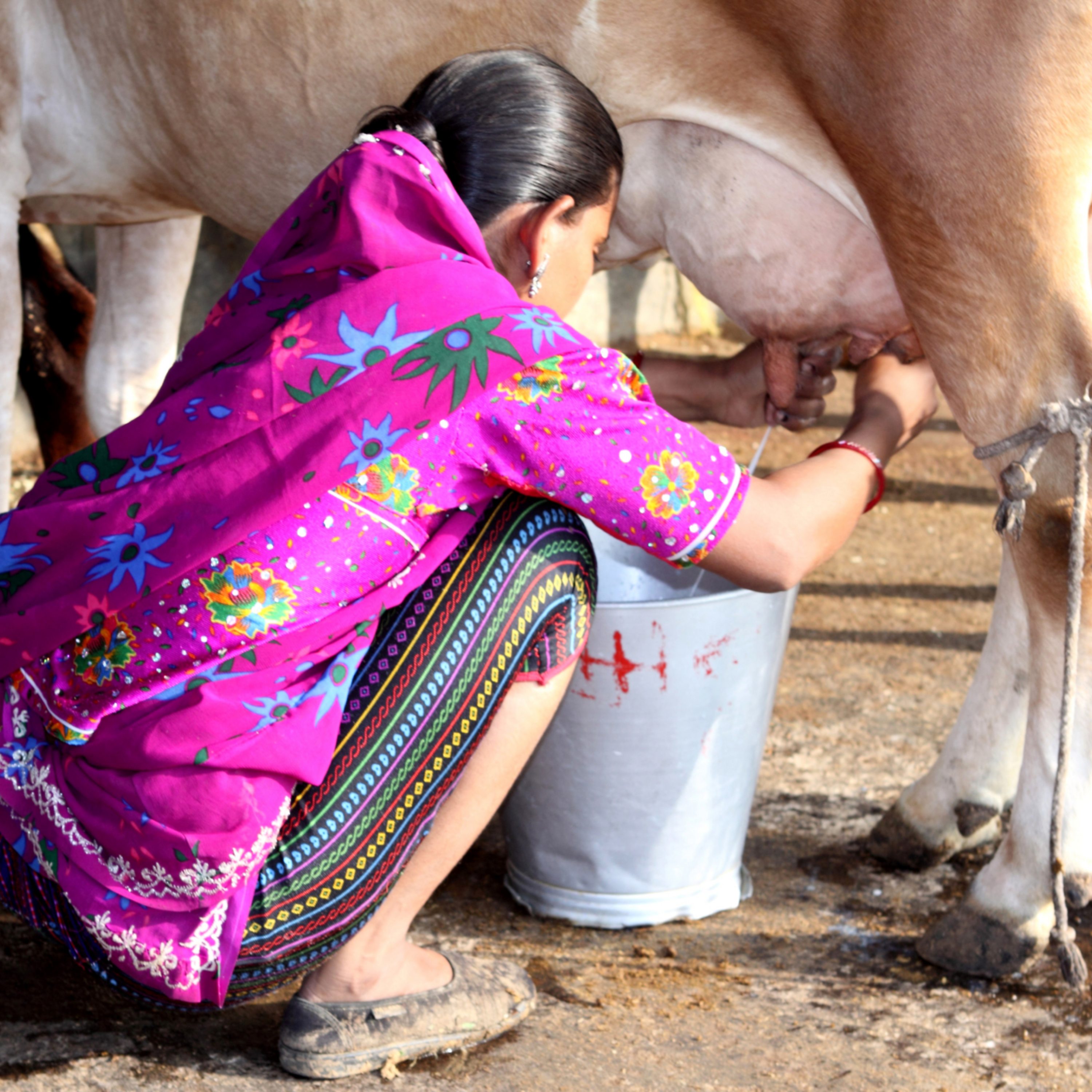 Will drinking milk help me live longer?