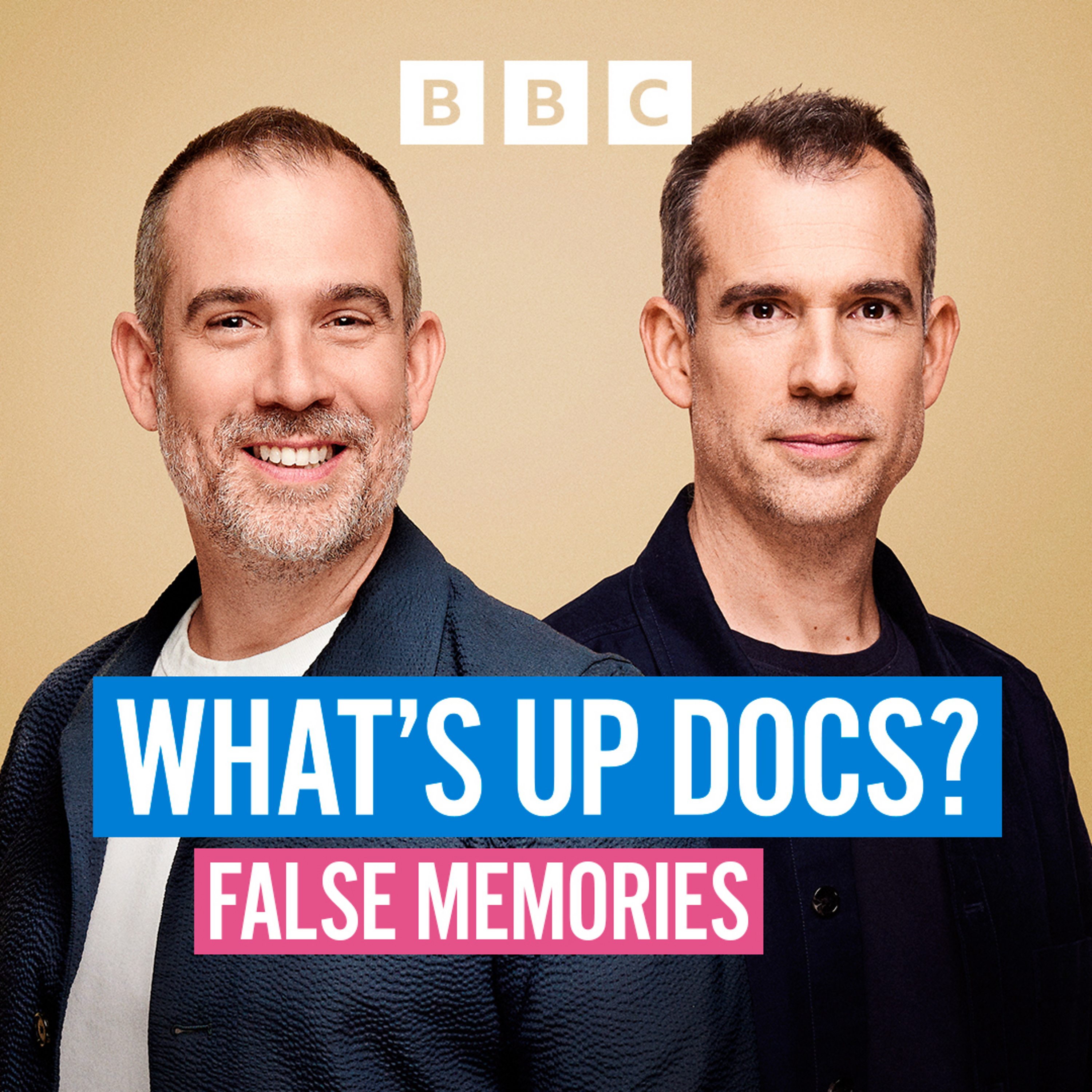 What should we do about false memories?