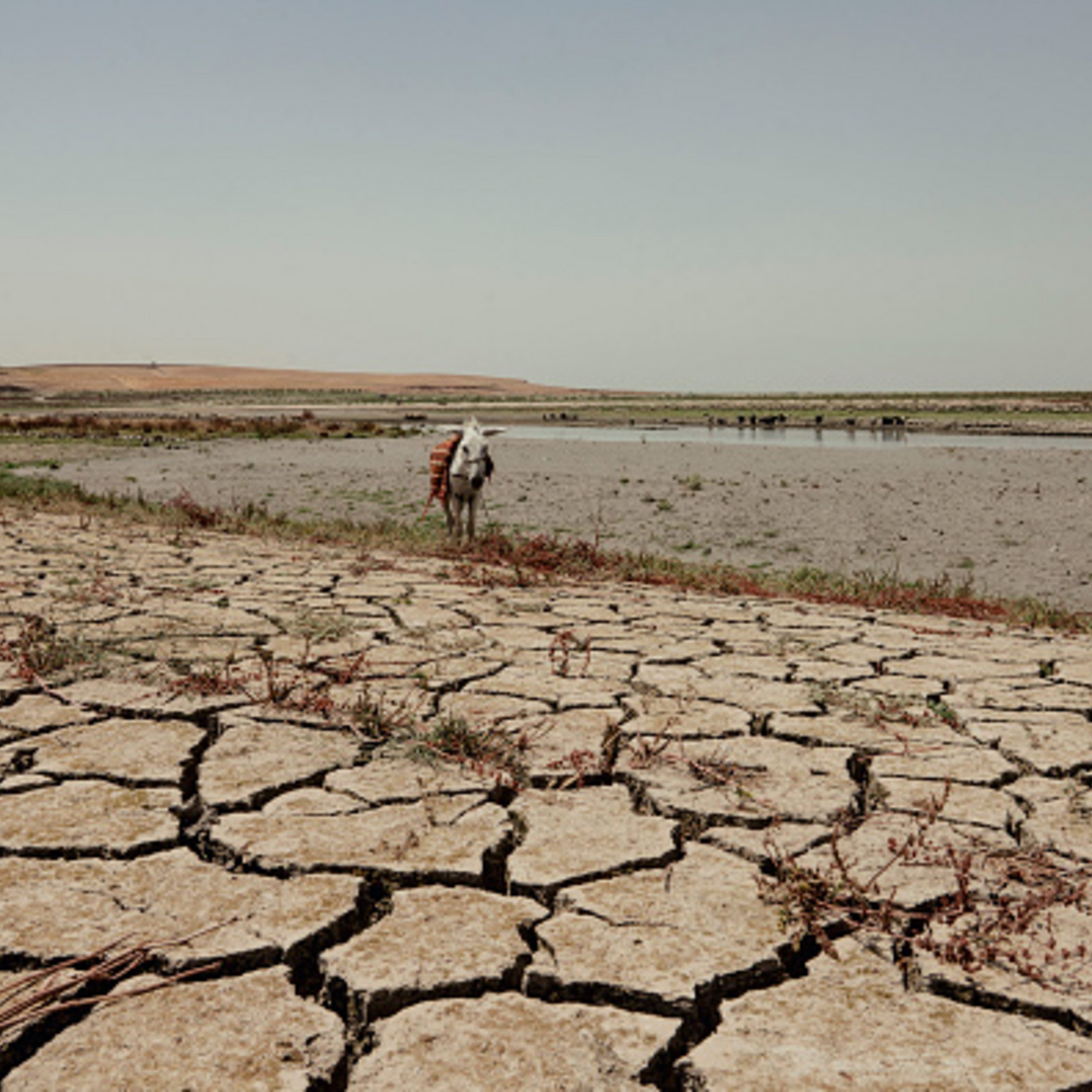 هل يشهد الشرق الأوسط موجة جفاف استثنائية؟ هل يشهد الشرق الأوسط موجة جفاف استثنائية؟