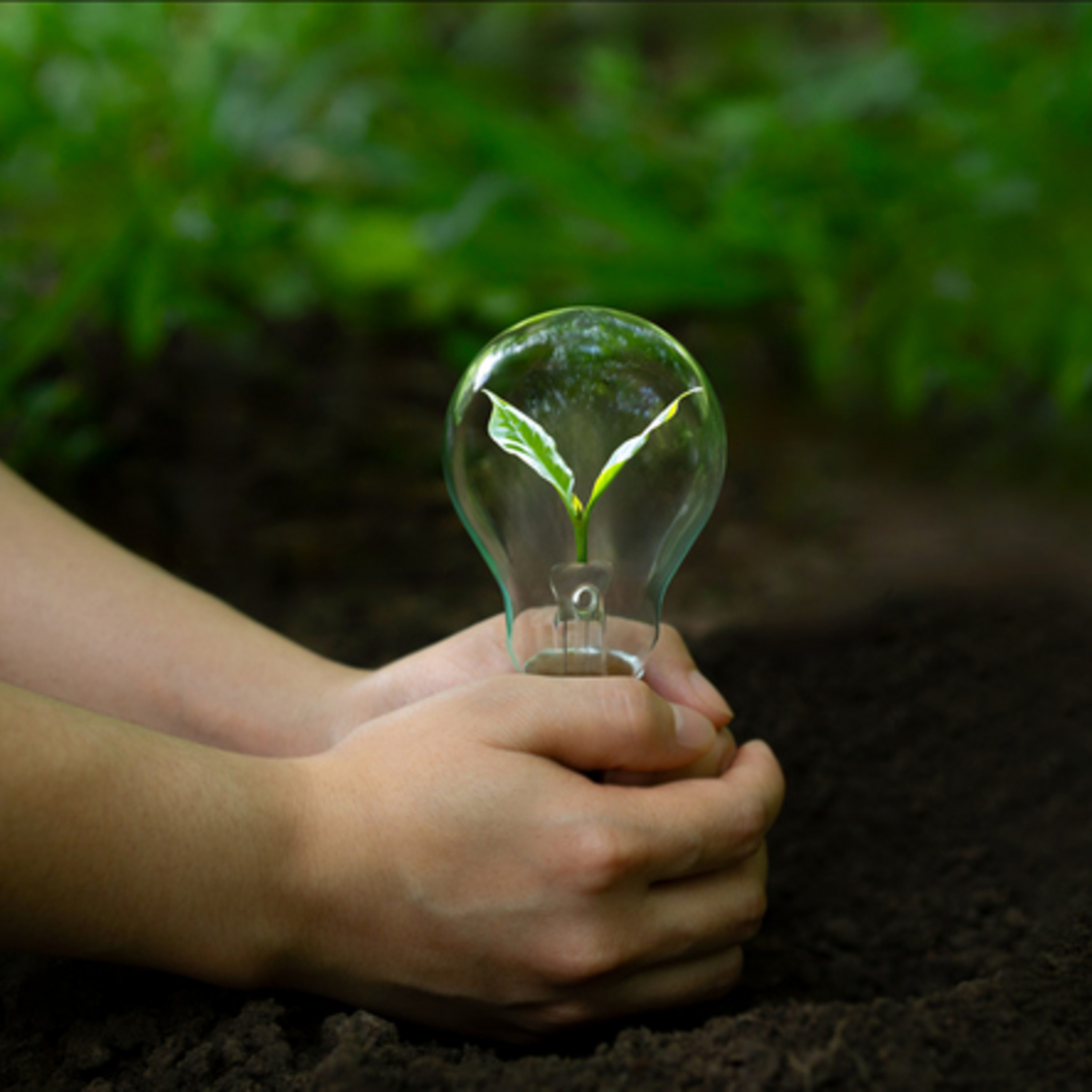 ما هو الهيدروجين الأخضر؟ وهل يكون بديلا عن النفط؟