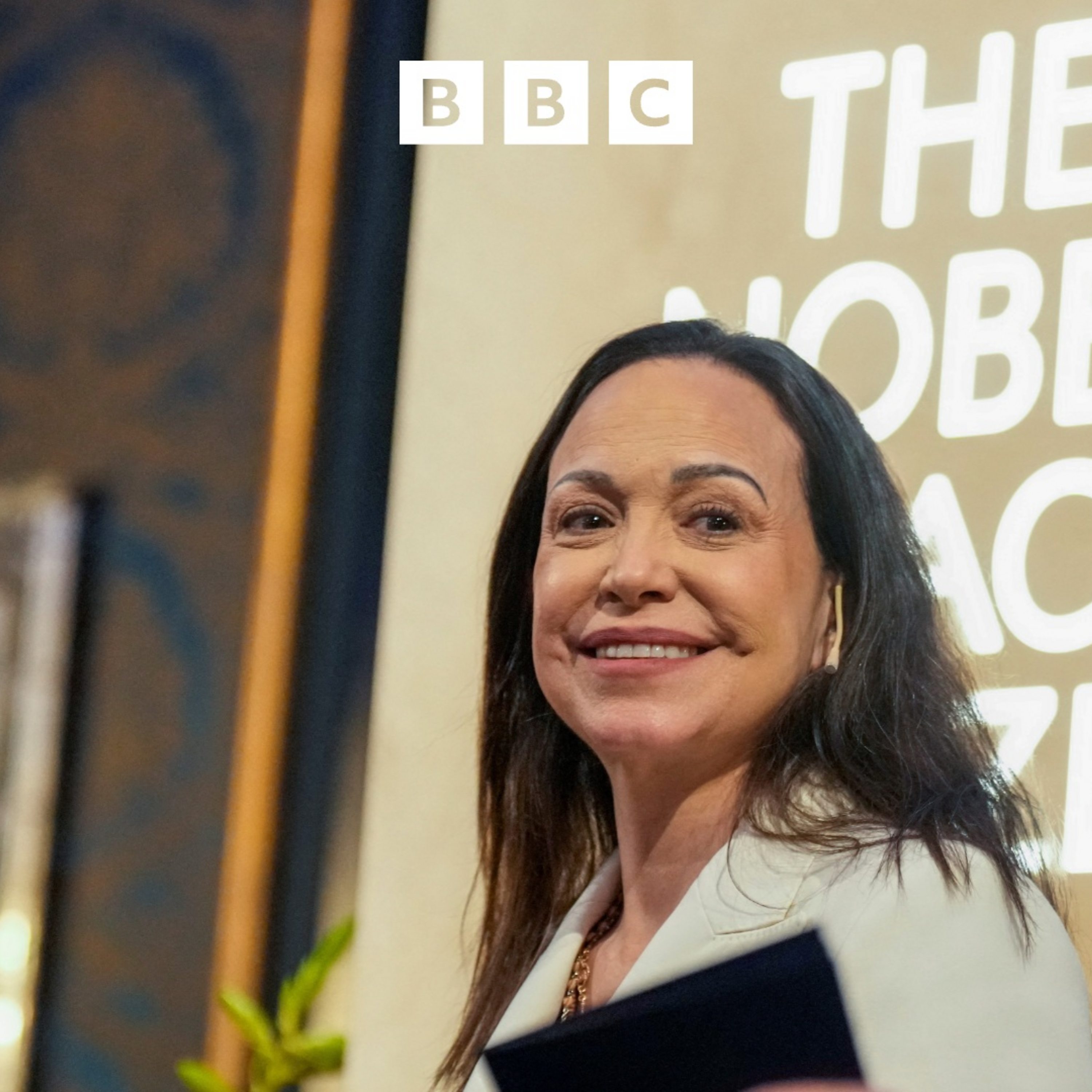 Venezuelan opposition leader speaks to BBC