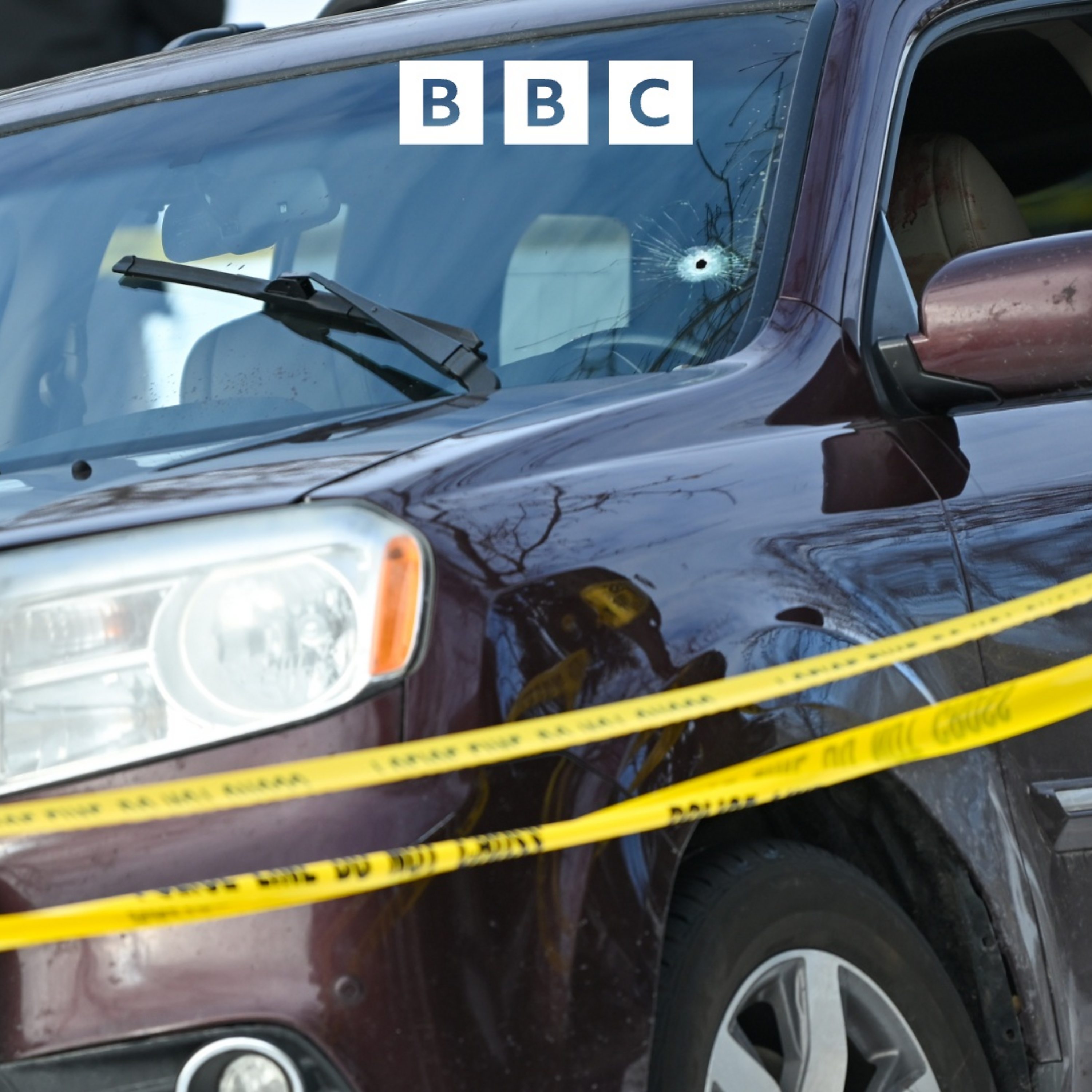 Woman shot dead by US immigration agent