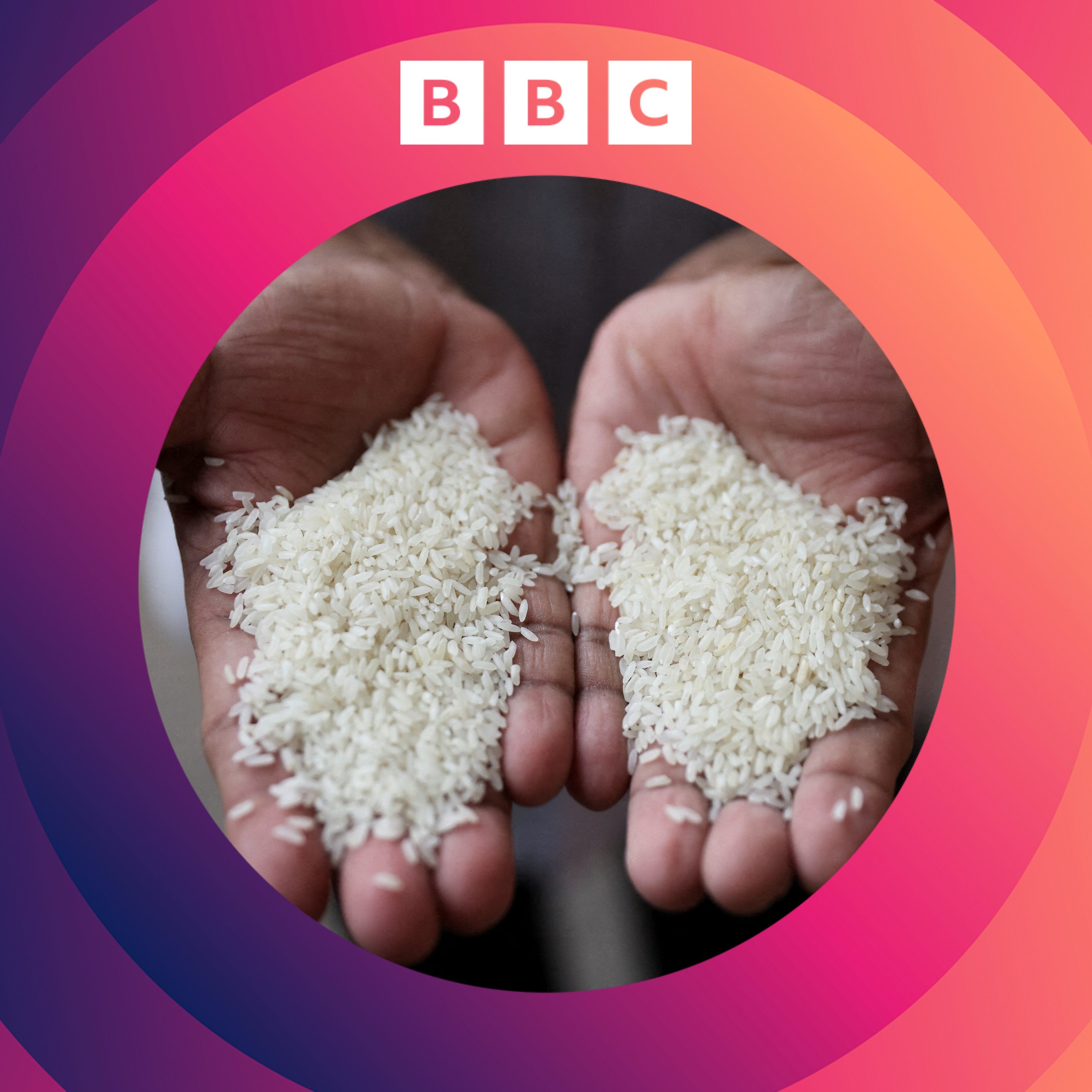 Could ancient rice seeds help fight climate change?