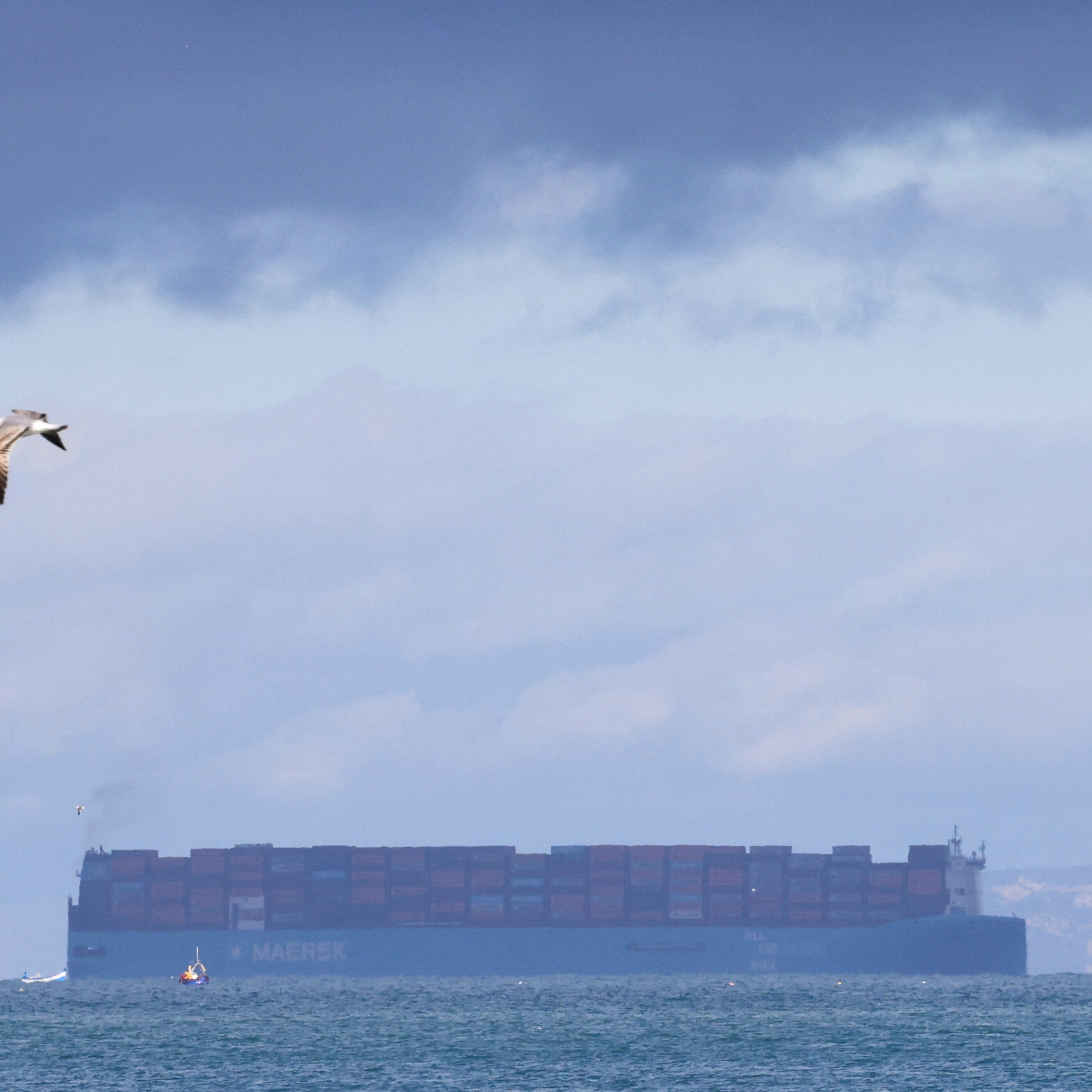 Container ships changing course to the Red Sea