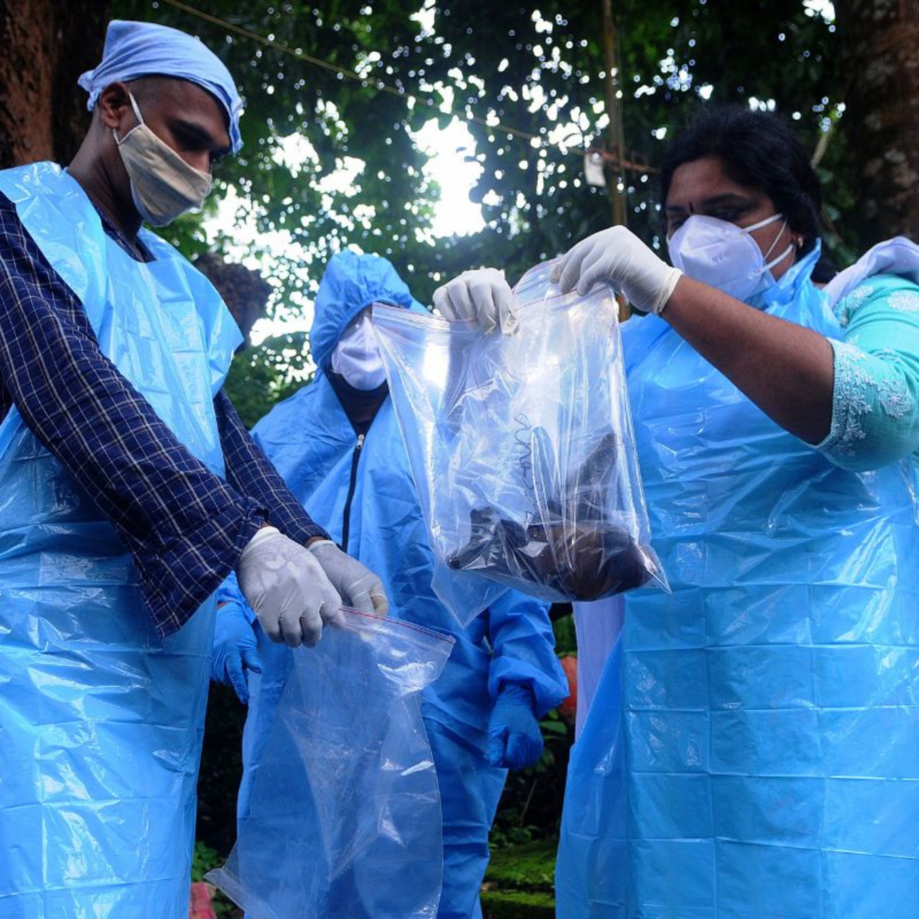 فيروس نيباه: ماذا نعرف عنه؟ وهل نحن أمام خطر وباء جديد؟