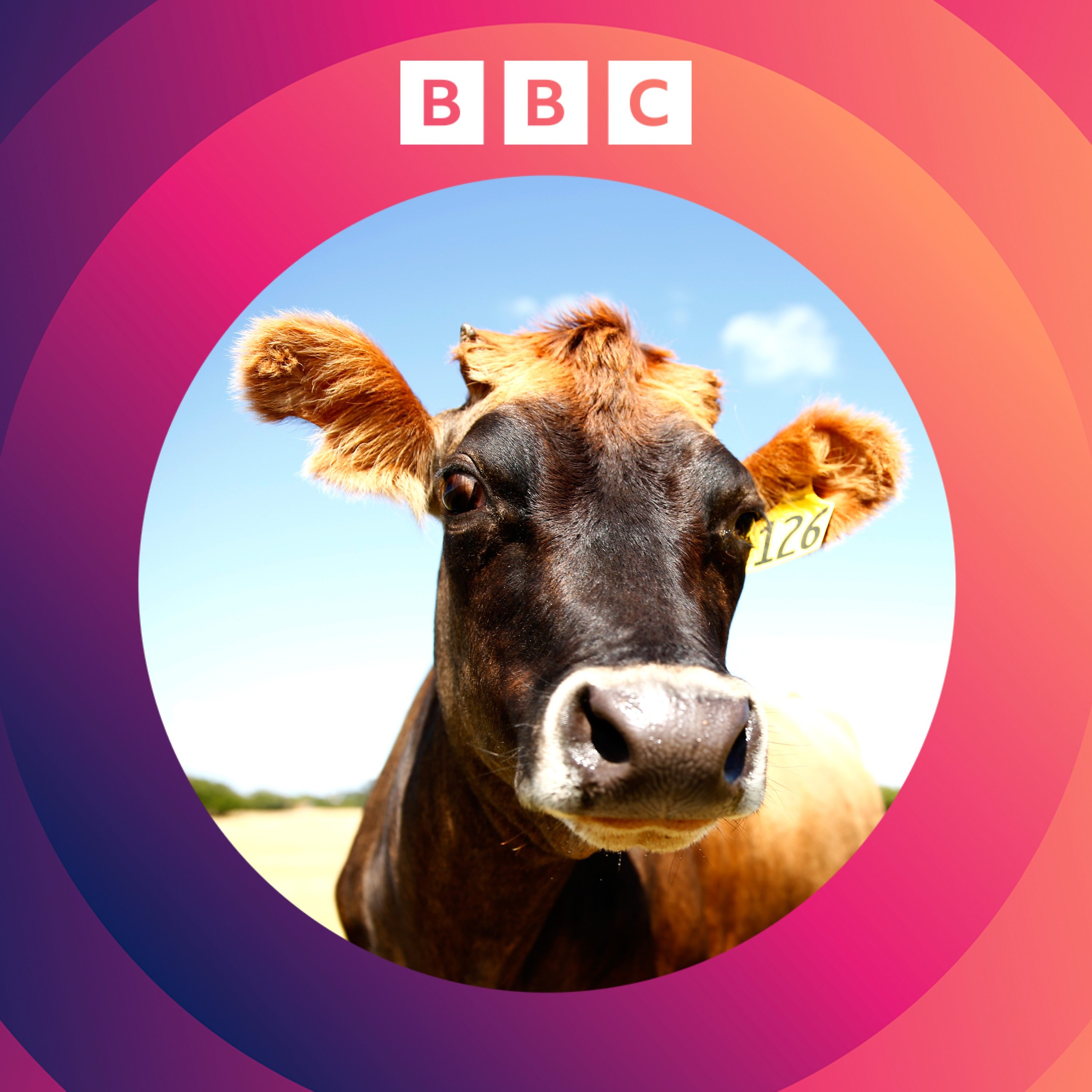 Is cutting methane the quick way to cool the planet?