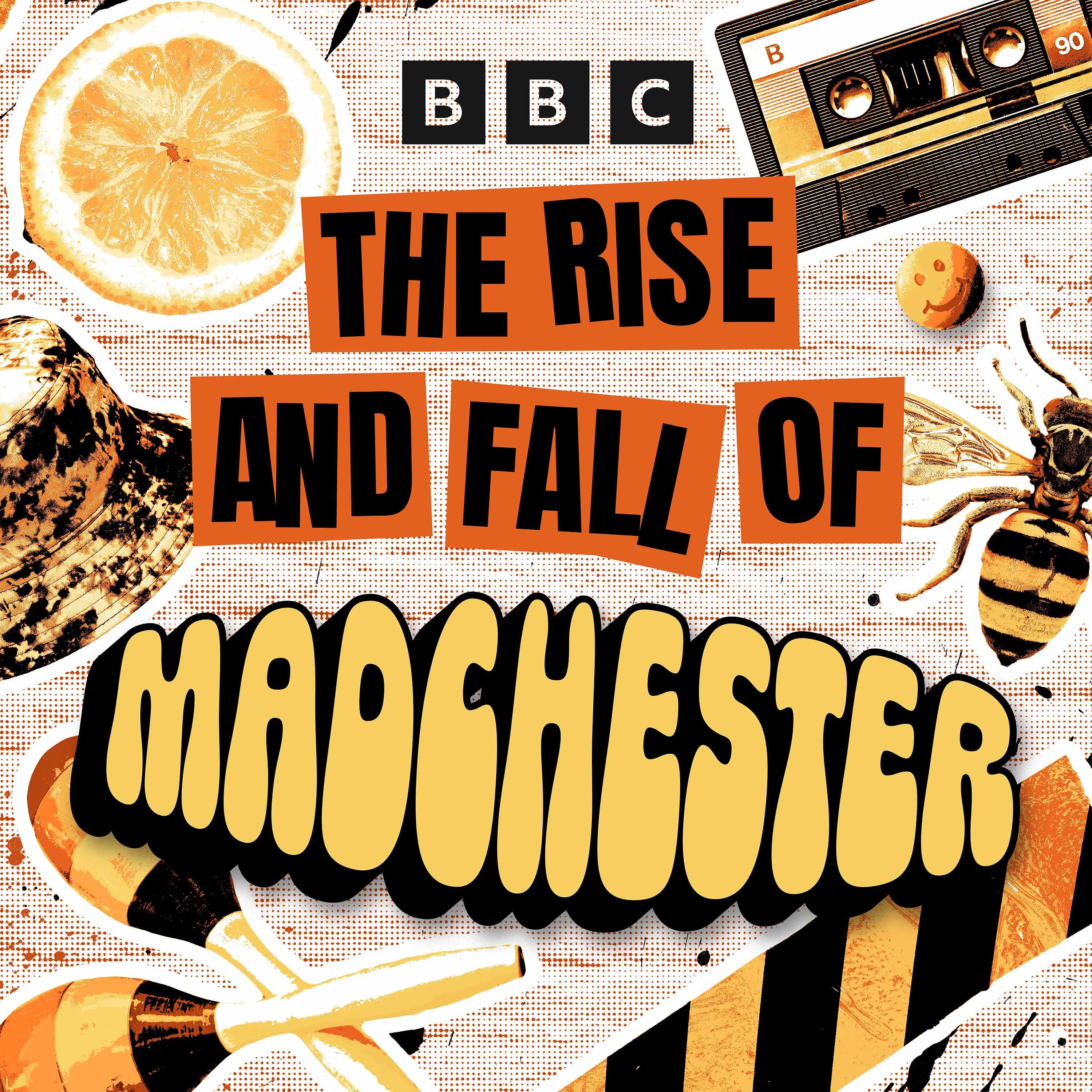 The Rise and Fall of ...