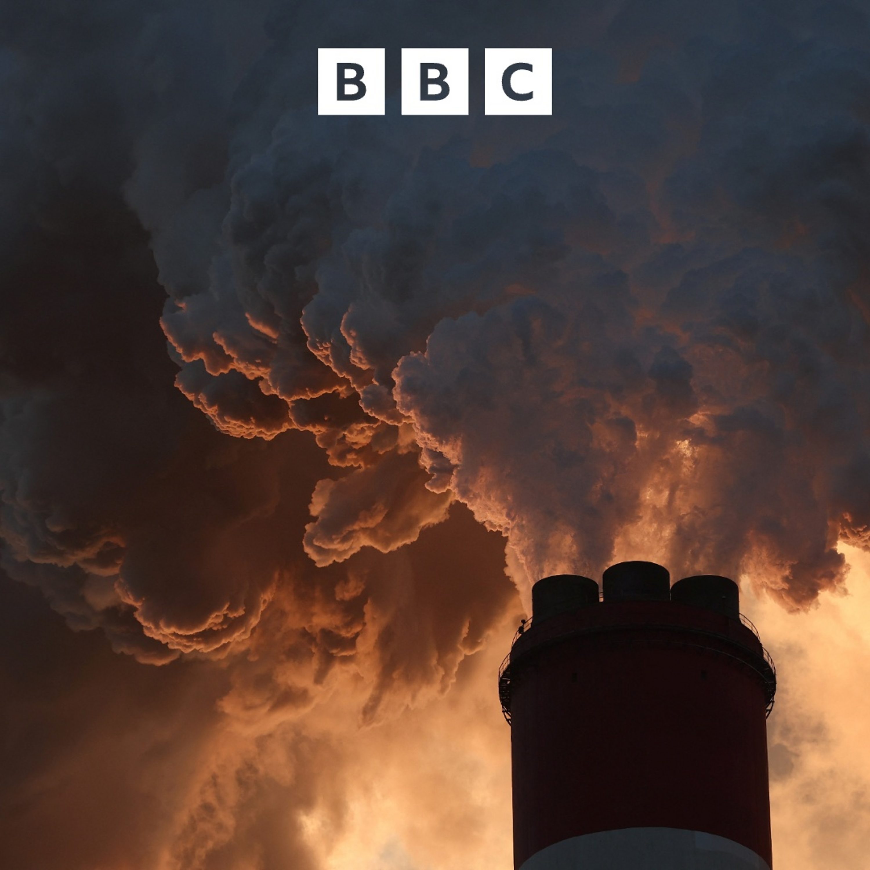 Putting polluters in court