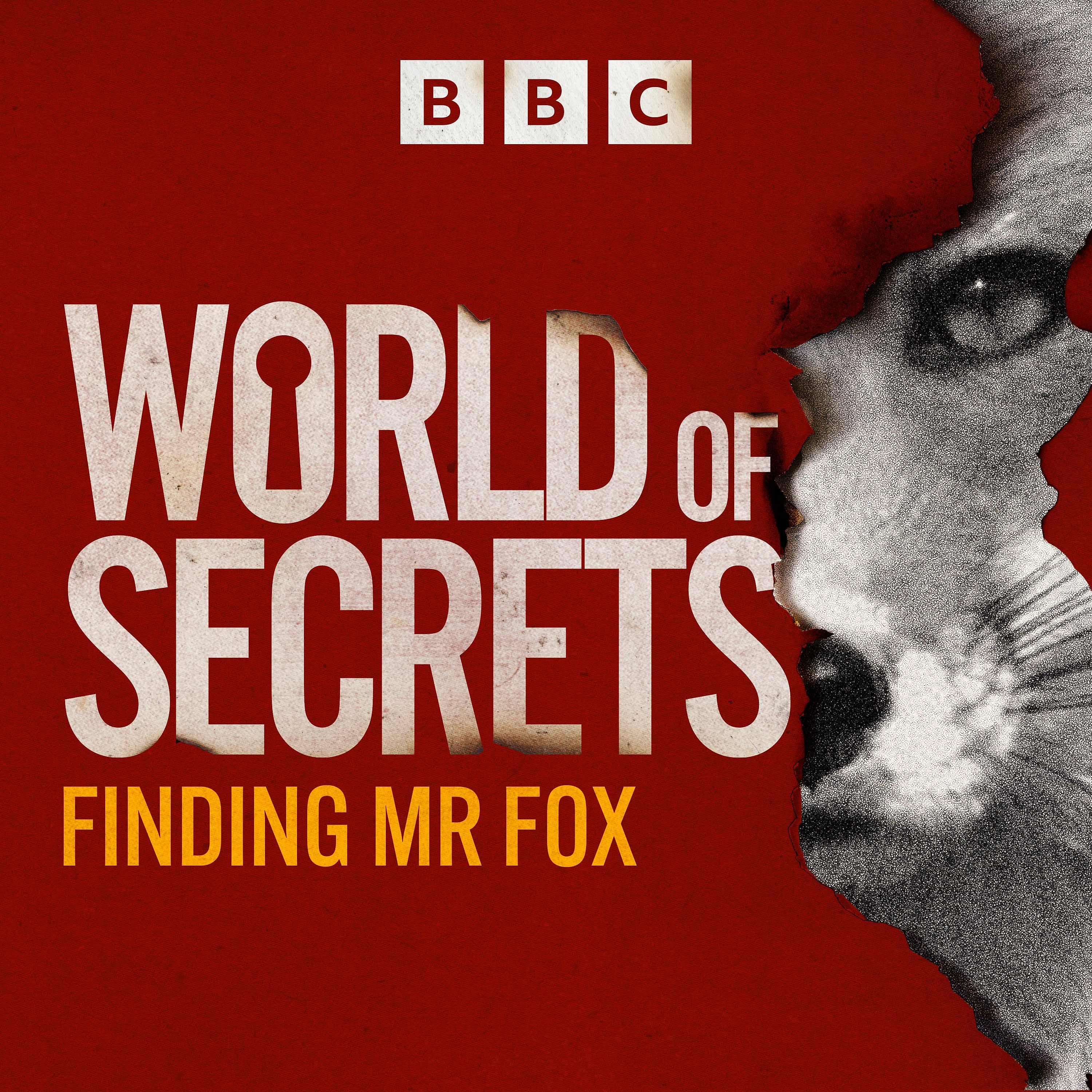Finding Mr Fox: 6. What does the Fox say?