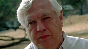 Image for John Simpson on ageing & care. Part of When I'm 65