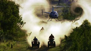 Image for Helicopter cowboys in Australia