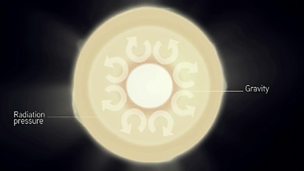 Image for Short guide to stars
