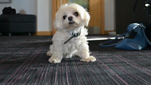 Image for Graham, blue lights, dark carpet
