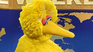 Image for Big Bird player in US Presidential Election