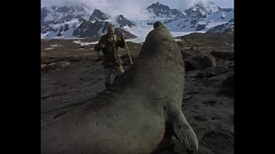 Image for Web exclusive: The seal stick twirl