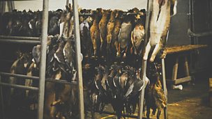 Image for A morning at Melton Market...