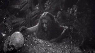 Image for The Forest of Fear
