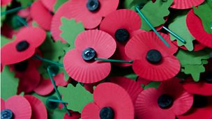 Image for “Public shame is enough” for burning poppy photo