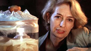 Image for Baroness Susan Greenfield: Extended Interview