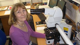Image for Get A Life: Pathologist