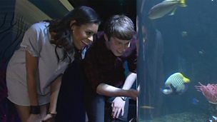 Image for AlunaGeorge visit the aquarium