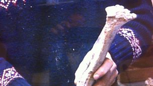 Image for 1993 Isle of Wight Dinosaurs