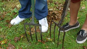 Image for Dick and Dom: Soil