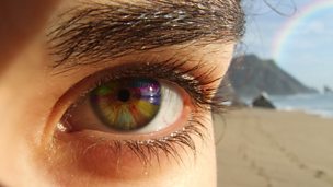 Image for Tetrachromats - The women with superhuman colour vision