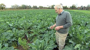 Image for Going mobile reaps rewards for farmer