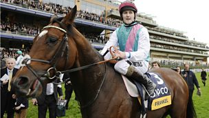 Image for "Pretty functional": A mare's encounter with stud Frankel