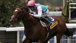 Image for Frankel: Starstudded