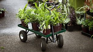 Image for Are we falling out of love with gardening?